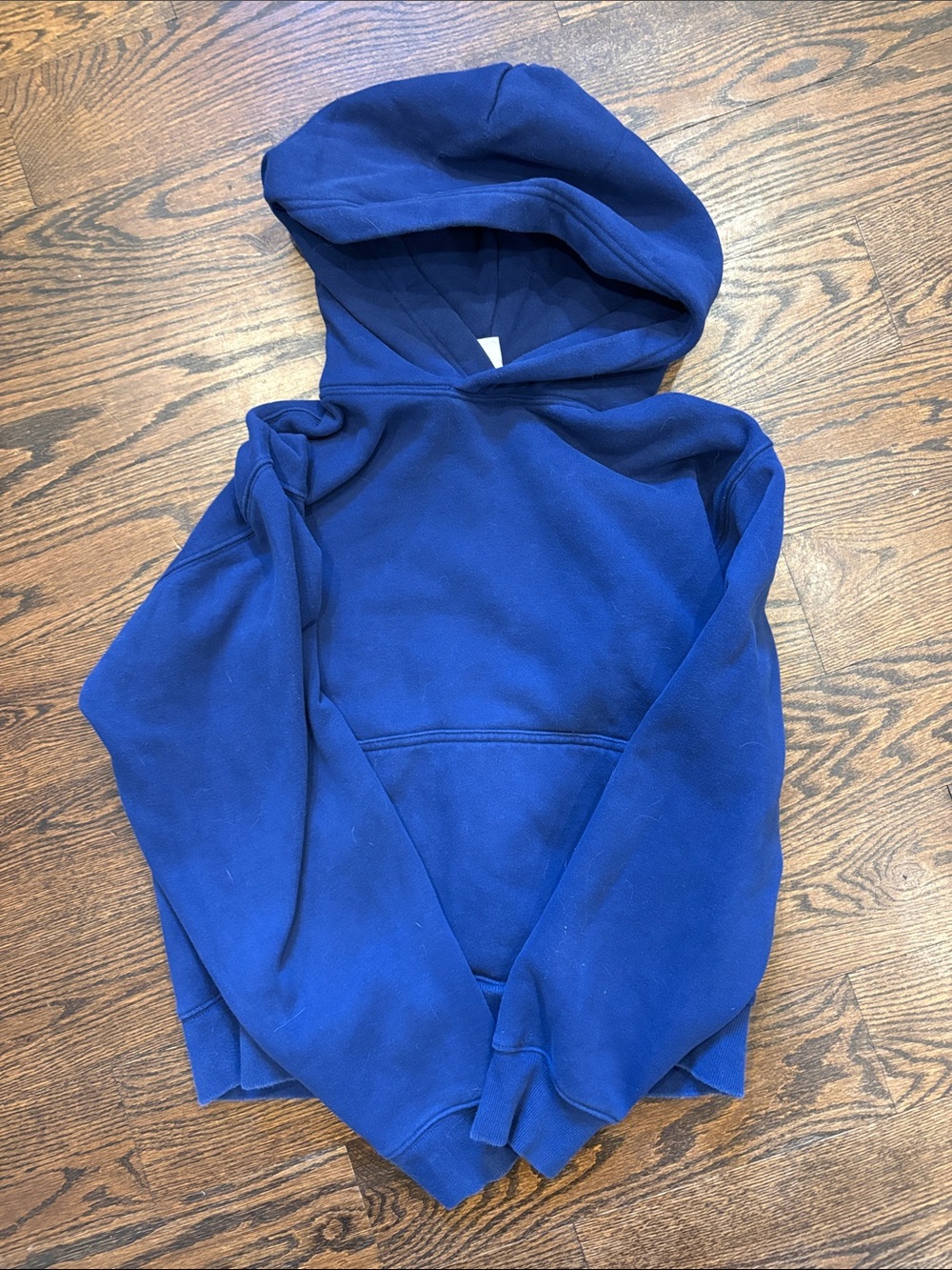 Aritzia Royal Blue Hooded Sweatshirt
